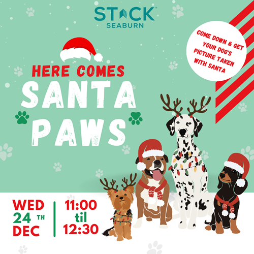 Woof Gang - Santa Paws