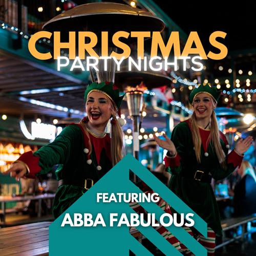 Christmas Party Night  - ABBA Fabulous